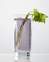 Scott Cocktail Glasses Set Of 4